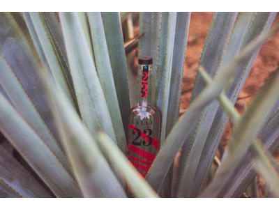 Calle 23 Tequila Blanco 100% Agave