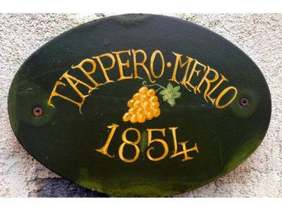Tappero Merlo Domenico Acini Perduti