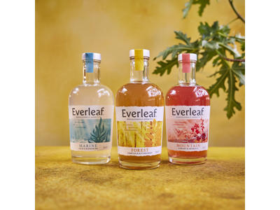 Everleaf Mountain