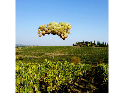 Cappella Santandrea Arciduca Chianti Colli Senesi ØKO