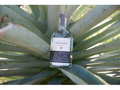 Pensador Espadin Mezcal